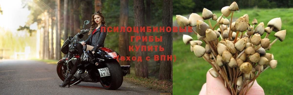 бошки Алексин