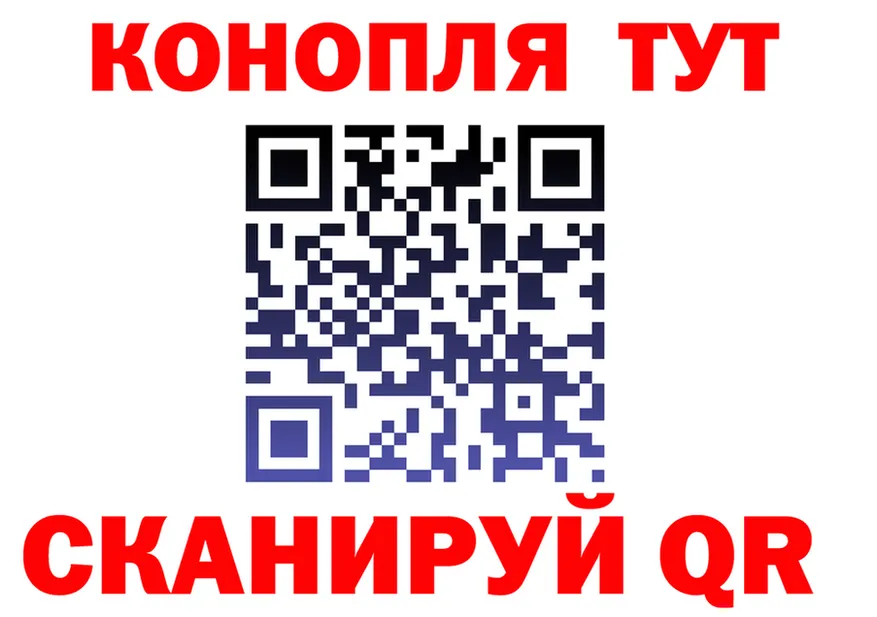 МЯУ-МЯУ 4 MMC ТОР площадка OMG Кимры