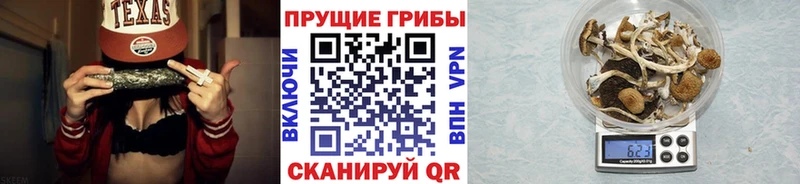 МЕГА ONION  Кимры  Псилоцибиновые грибы GOLDEN TEACHER 