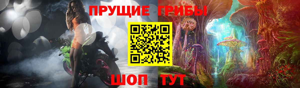 Псилоцибиновые грибы MAGIC MUSHROOMS Кимры