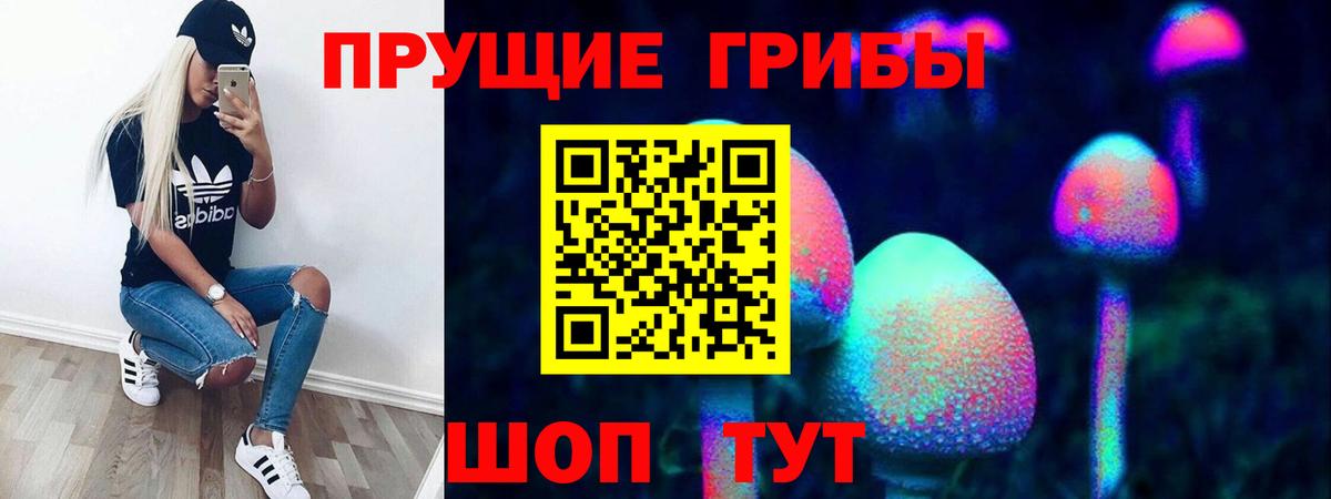 Галлюциногенные грибы Psilocybine cubensis  купить закладку  Вход с VPN  Кимры  Псилоцибиновые грибы Psilocybe 